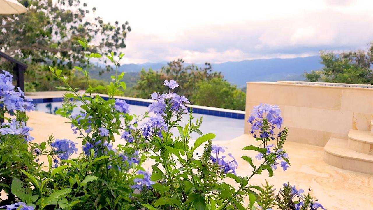 Homestay Mountain View